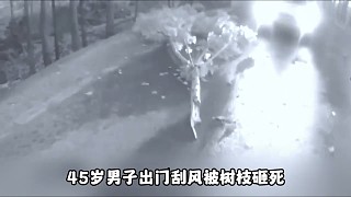 男子外出刮風(fēng)被樹砸死，家屬起訴樹主賠償200多萬，法院：都有責(zé)任！