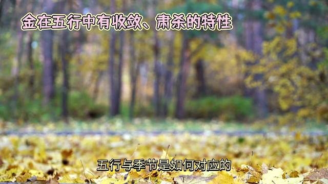 五行与秋季的奇妙联系