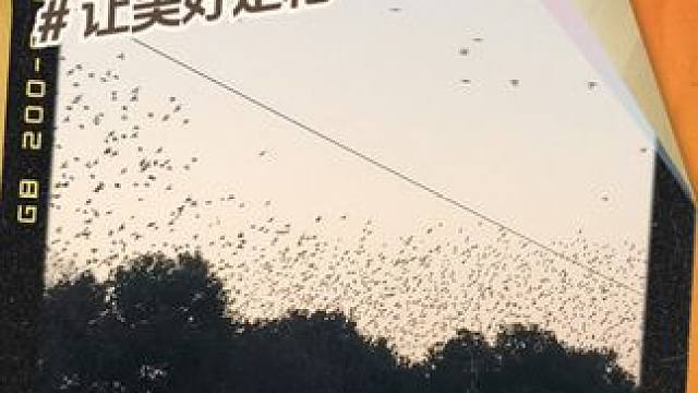 这是怎么了，鸟儿们也在欢送2023吗？