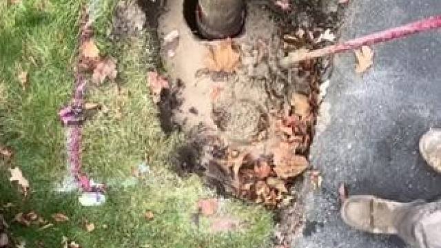 我发布了一个新视频，快来围观吧！