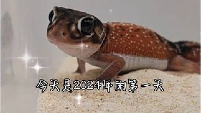 新年的第一个视频~