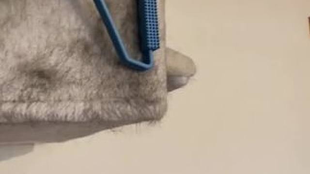 不养猫，永远体会不到那种掉猫毛刮猫毛的快乐，真的治愈又解压 #萌宠好物  #刮毛器