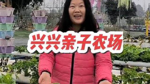 采摘草莓，砍甘蔗，田园小火车，种植体验，沙滩车，水上滚筒，挖挖机，多种游乐项目，超级适合亲子家庭，快