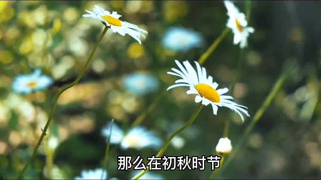 当下年轻人需要什么样的车？