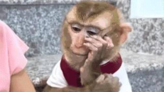 好好好，你们这么玩是吧！#万万没想到 #搞笑 #娱乐评论大赏