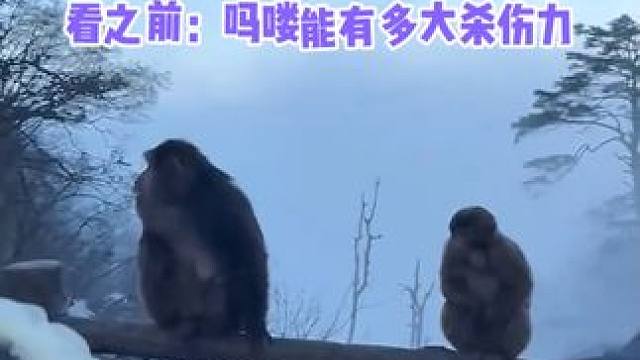 这是什么校园青涩恋爱啊#娱乐评论大赏 #吗喽 #嗑到了 #万万没想到 #内容过于真实