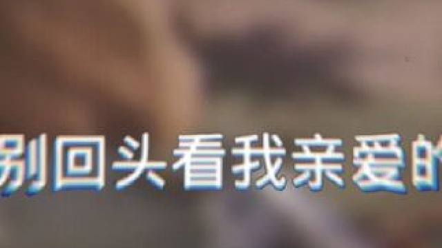 我快忘记你的样子了…