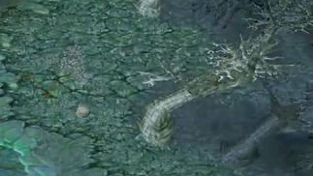 （三）冥界刷新球猛犸，2个大招很强