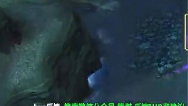 （一）大熊原声大碟，法系哈斯卡1带4坨翔，团队50%输出~