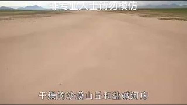 #野外生活纪录片 #荒野求生 #丛林求生纪录片 #野外生存 #荒野达人