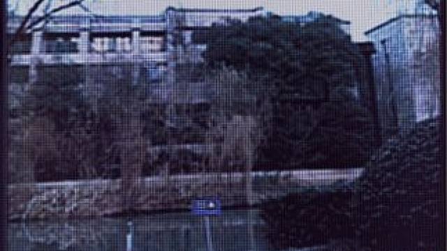 开年打响2024的牛腱子first dance
#ditto #newjeans #cover #社