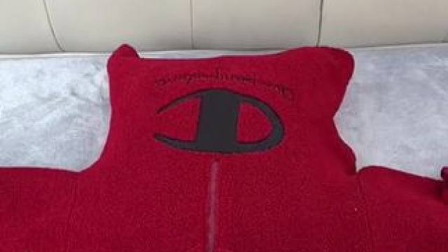 洗完的羽绒服总是一坨一坨的，或者平时着急穿的衣服都可以用这个烘干袋，洗完的羽绒服边吹边拍打，不仅干的