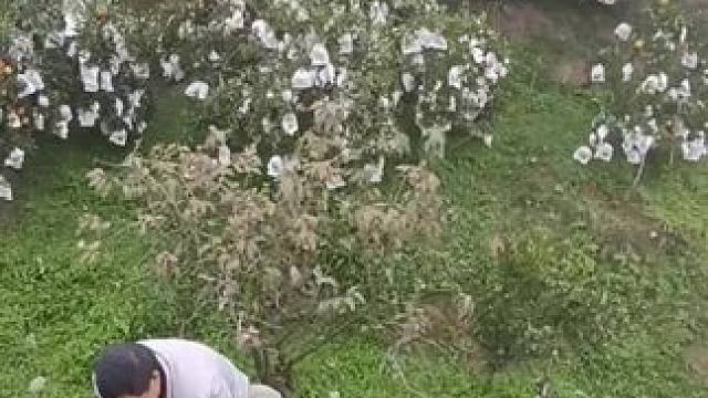 #施工现场实拍 #现代农村房屋最新款式 #瓦房屋顶改造 #记录工地上的点点滴滴 #这是一个好地方