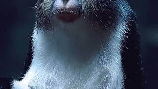 一个活没有啊#看一遍笑一遍