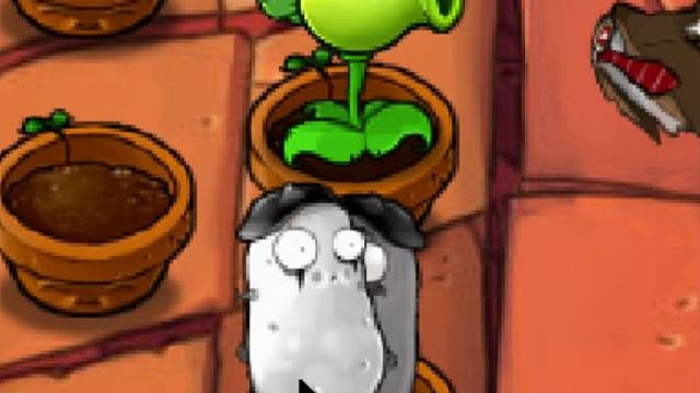 又 是 小 博 的 一 天