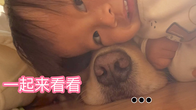 大狗狗！你别跑！给我吃一口！