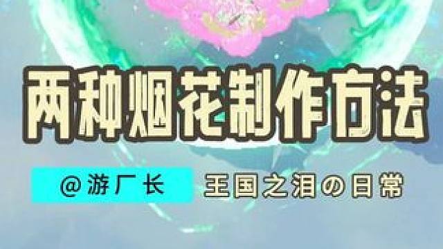 【塞尔达传说：王国之泪】快去点燃你的2024专属烟花吧！ #塞尔达传说 #塞尔达传说王国之泪 #任天