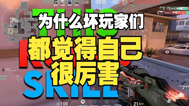 为什么那些坏玩家们总觉得自己打得很好？【双语熟肉】