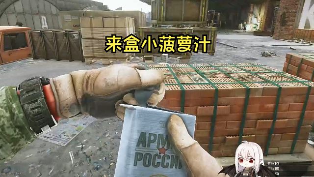 大家新年快乐，来看一期沉浸式塔科夫【抒情塔科夫】