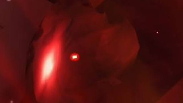 老登们，小登我新年第一抽#阴阳师 #抽卡 #欧皇的气息 #游戏日常 #非酋