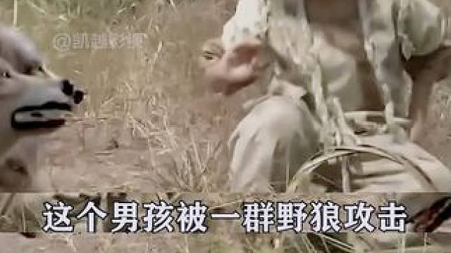 #影视解说  #我的观影报告