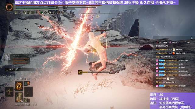 【沐】战技篇8-战技流（远程）番外篇92 鞭火猪（属性：雷）