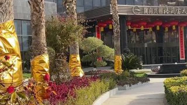 没想到这么豪华的酒店这次活动这么划算，有需要的朋友可以先囤，不约可退#一场旅行开启2024  #双旦