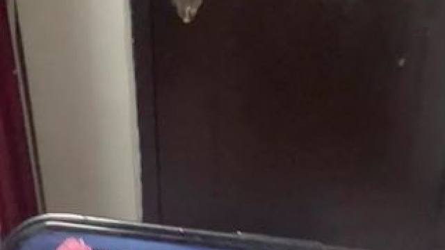 房东又催租了，天天吵我玩晶核，下个月没地方玩了#晶核 #杨幂代言晶核