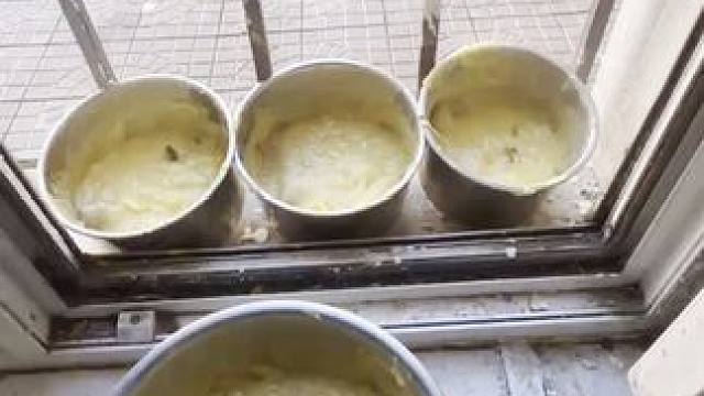 给狗做饭 给狗做饭让我欢喜让我忧#斯塔福 #杜宾 #萌宠 #给狗做饭 #护卫犬