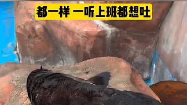 都一样 一听上班都想吐（来源