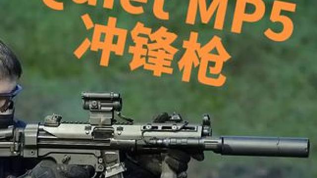 Quiet MP5#冲锋枪 #军迷 #武器