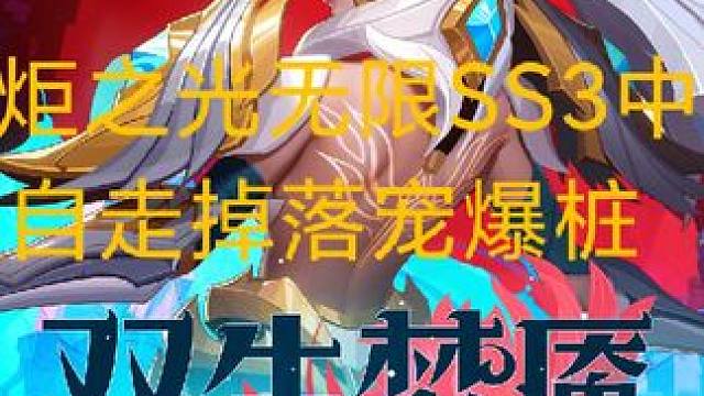 火炬之光无限SS3赛季中配自走爆桩#火炬之光无限 #火炬之光无限ss3赛季 #双生梦魇