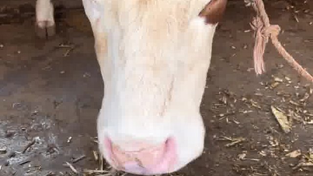 不好意思阿 我以为会很好吃的