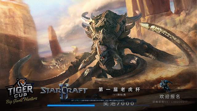 决赛 wanted vs 夜蝶