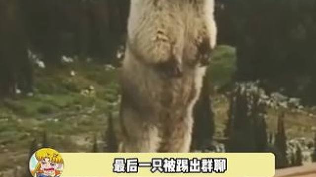 狗：不图小利，必有大谋，你俩吃饱了吗?那我就不客气了