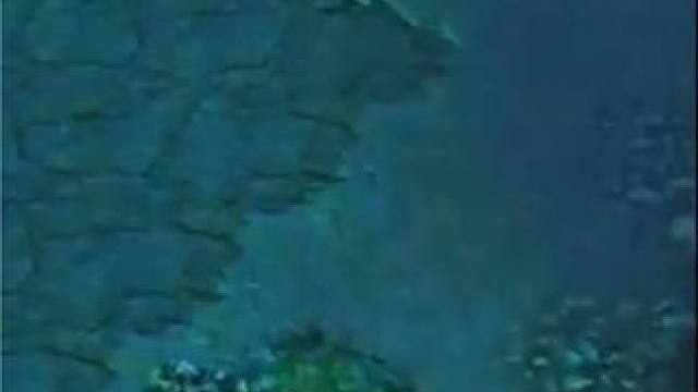 （三）09高分质量局宙斯，偶遇竞技场第一和第二名！