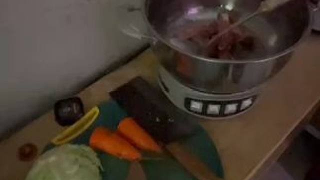 啥好人天天给狗这么做饭也受不了 我看看谁天天给爱犬做饭 我看看有没有这样的#斯塔福#杜宾 #护卫犬 