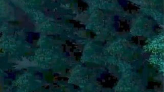 （一）路人王荒年，3圣剑齐天大圣，一棒子秒人