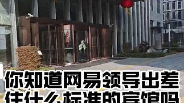 你知道网易领导出差住什么样的宾馆吗？ #梦幻西游 #梦幻西游电脑版 #梦幻西游创梦计划 #梦幻西游帮