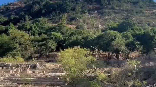 这种鸡下的蛋好吃，鸡肉也好吃