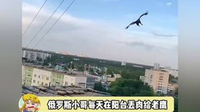 别人养宠物，战斗民族喂老鹰，被一只鹰帅到了