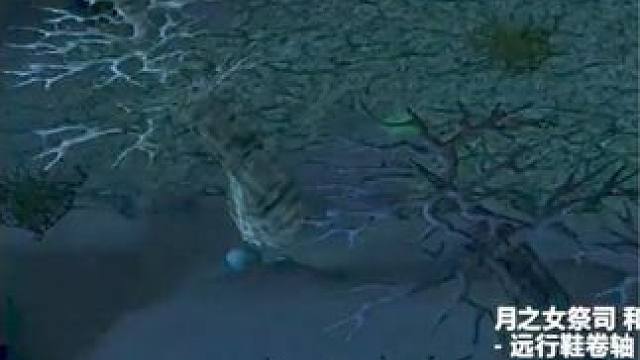 （一）路人王荒年，酱油白虎，游走控F抓打野