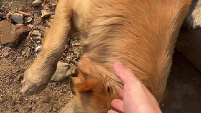 月底跟高能合约完事了，没一称下一站该去哪里发展呢。#枪队