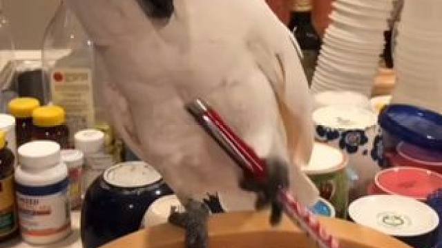 扔个东西这么有仪式感