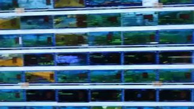 国内魔兽世界GZS一人控制384个脚本……外国玩家看完直接奔亏#魔兽世界 #魔兽世界怀旧服 