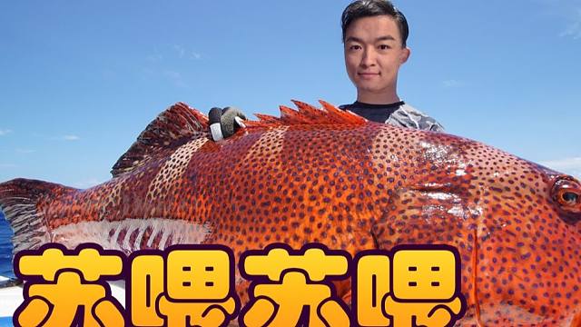 【炉石瓦莉拉】点金鱼有多厉害 我这把都能吃 全靠金鱼！