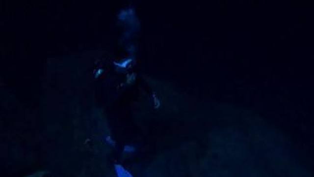 我发布了一个新视频，快来围观吧！