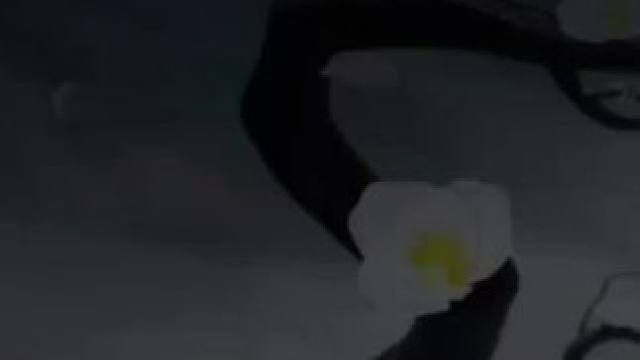 #阴阳师 #禅心云外镜 斗技T0辅助缝合怪——SP云外镜