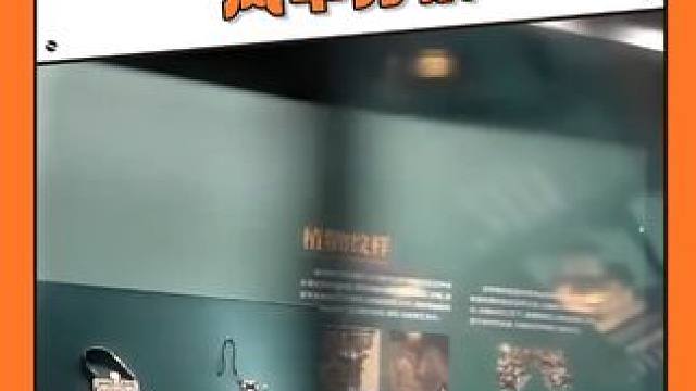 成都的这个珠宝展 美得我尖叫！！#成都珠宝展 #风华万象展览 #博物馆 #展览