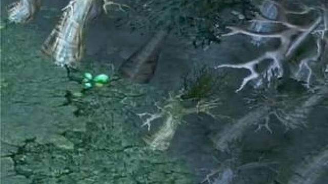 （三）大熊原声大碟，中单恶魔巫师